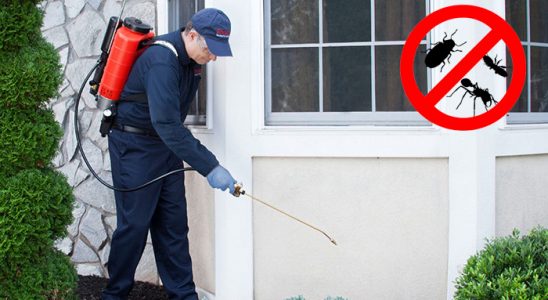 Yeniçamlık Hamam Böceği İlaçlama böcek ilaçlama ve haşere kontrolü — ilaclama-tr.com